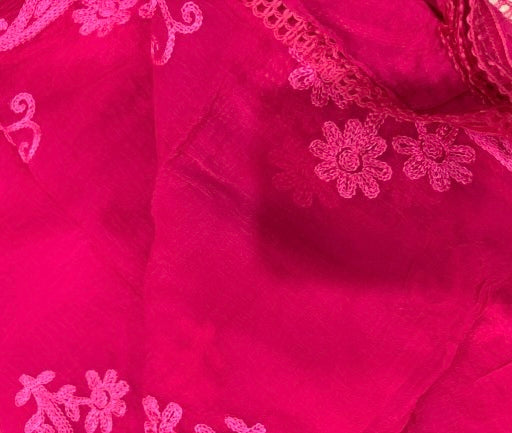 Soft Chiffon 2.25m full embroidered lace border single tone dupatta