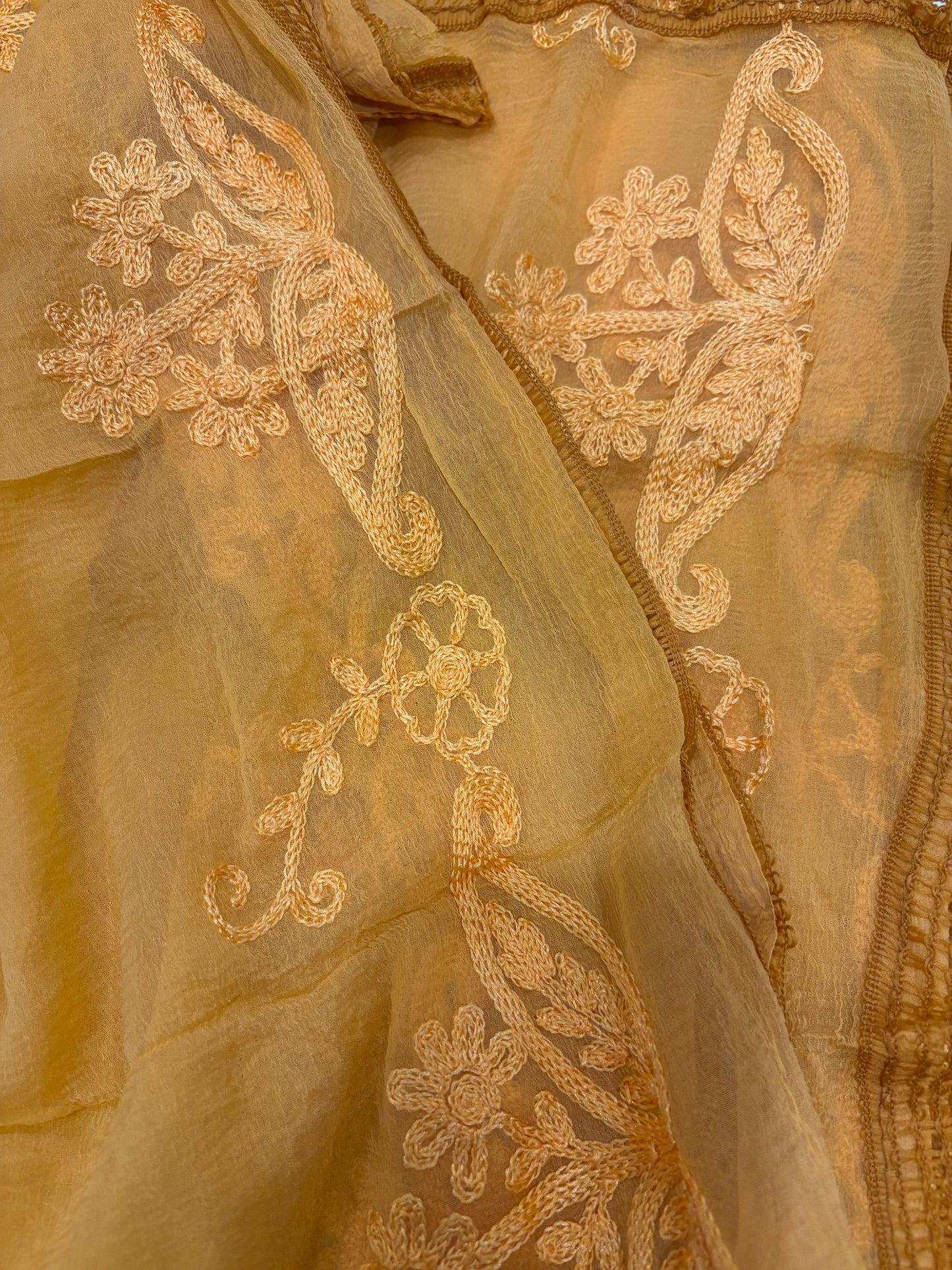 Soft Chiffon 2.25m full embroidered lace border single tone dupatta