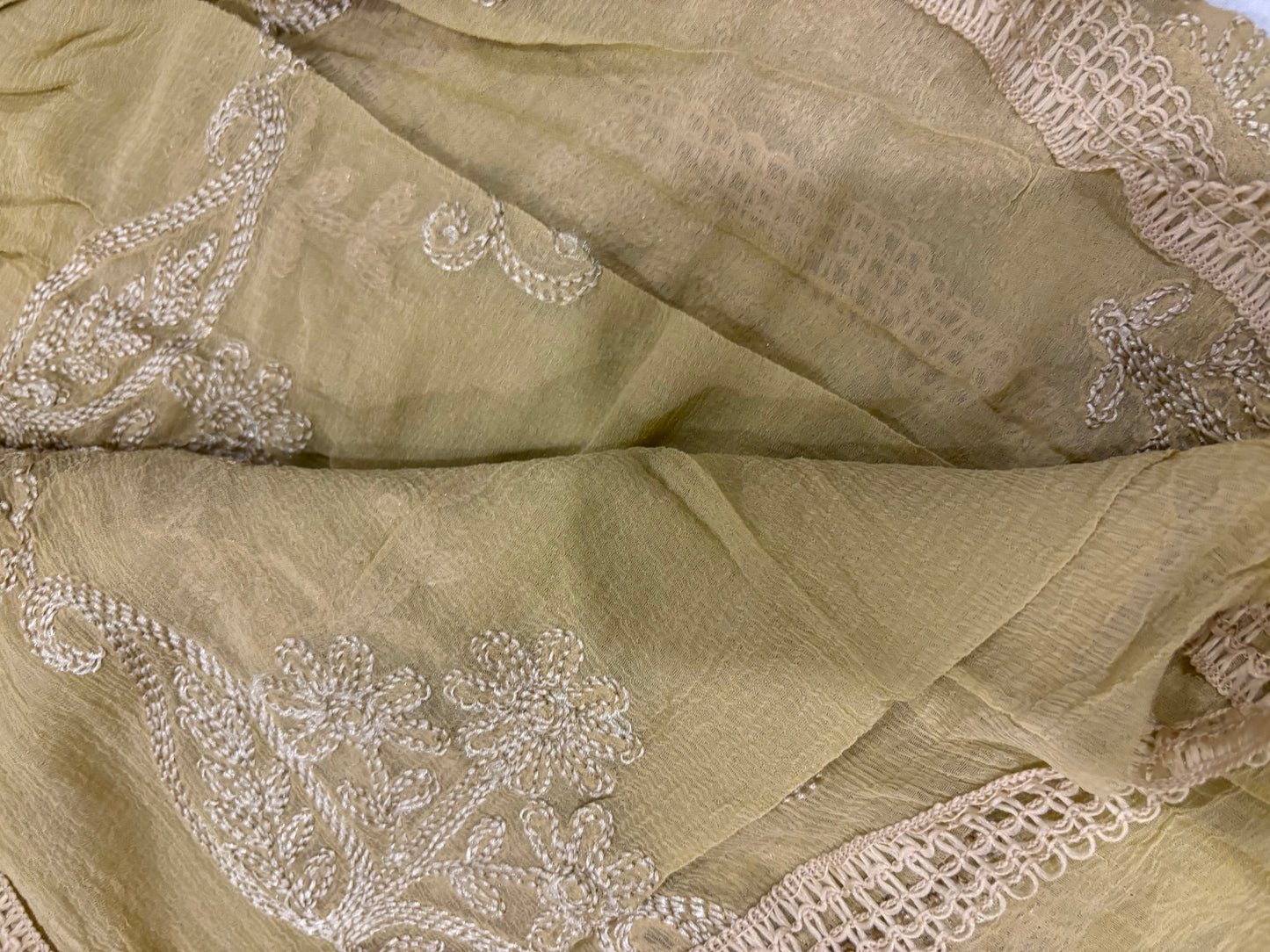 Soft Chiffon 2.25m full embroidered lace border single tone dupatta